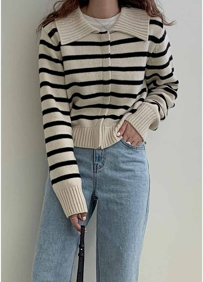 HIDDEN ZIP-UP STRIPE KNIT ( 2 COLORS )